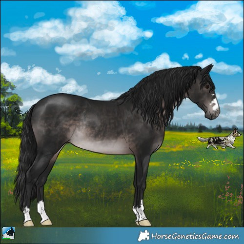 Horse Color:Gray Platinum Brown Rabicano 