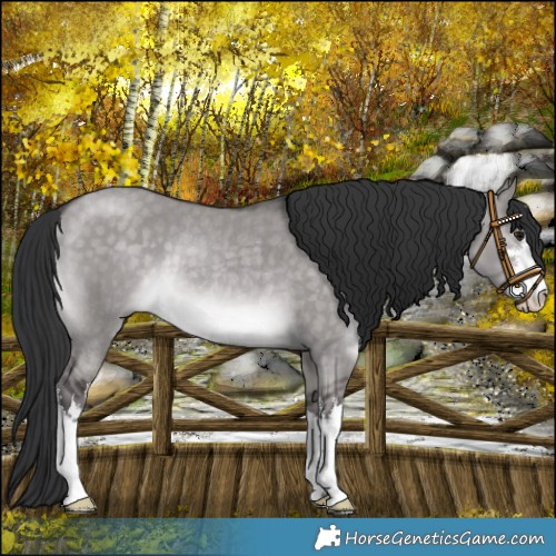 Horse Color:Platinum White Spotted Brown Dun Rabicano 
