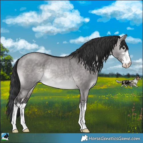 Horse Color:Platinum White Spotted Brown Dun Rabicano