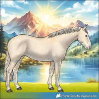 Horse Color:Palomino Dun Splash 