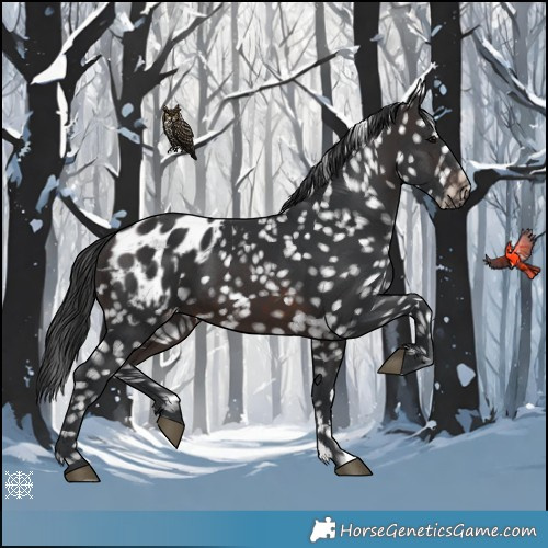 Horse Color:Brown Blanket