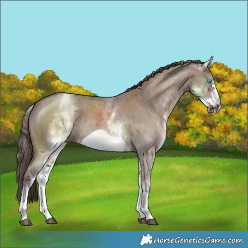 Horse Color:White Spotted Liver Red Dun Sabino Frame