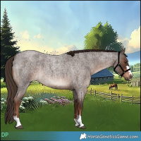 Horse Color:Liver Red Roan  and Liver Red Roan 