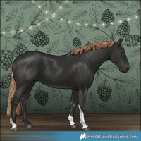 Horse Color:Liver Chestnut Tobiano