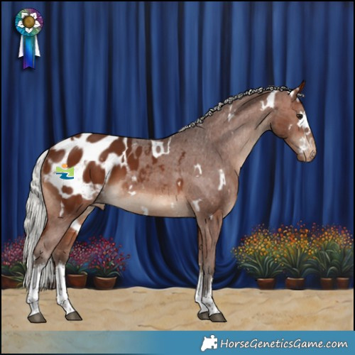 Horse Color:White Spotted Silver Brown Appaloosa 