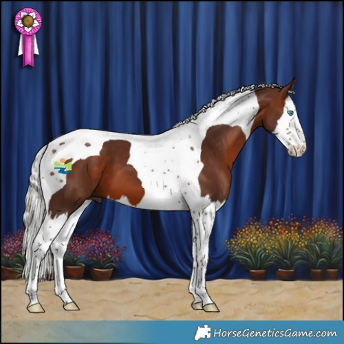 Horse Color:Silver Brown Splash Tobiano