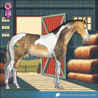 Horse Color:Buckskin Splash Tobiano 