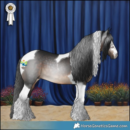 Horse Color:Gray Brown Tobiano