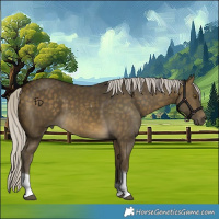Horse Color:Silver Buckskin Tobiano 