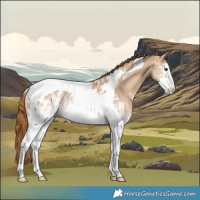 Horse Color:White Spotted Red Dun Tobiano Appaloosa Rabicano