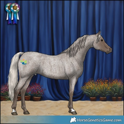 Horse Color:Silver Blue Roan 