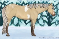 Horse Color:Silver Bay Dun Splash Tobiano Frame  Brindle