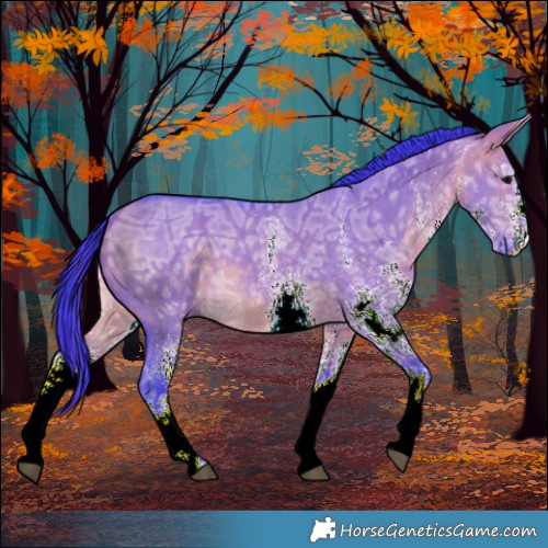 Horse Color:Watercolor White Spotted Bay Ice Dun