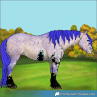 Horse Color:Watercolor White Spotted Bay Ice Dun 