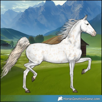 Horse Color:Red Dun Roan Blanket
