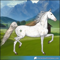 Horse Color:Red Dun Roan Blanket 