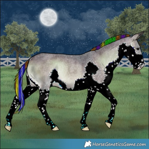 Horse Color:Painted Brown Roan Onyx Splash Rabicano