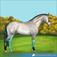 Horse Color:Painted Brown Roan Onyx Brindle 