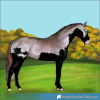 Horse Color:Painted Brown Onyx Sabino Splash Brindle