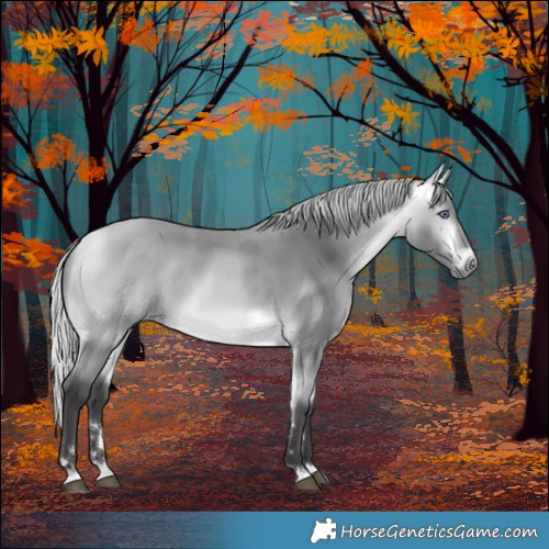Horse Color:Silver Buckskin Chinchilla 