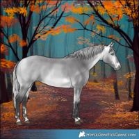 Horse Color:Silver Buckskin Chinchilla 