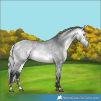 Horse Color:Silver Buckskin Chinchilla 