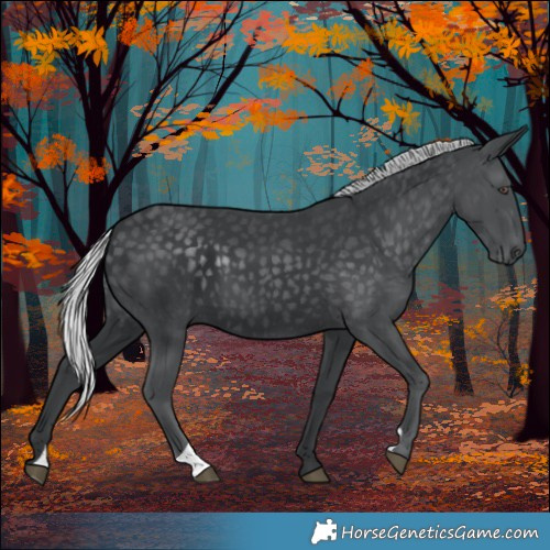 Horse Color:Silver Black Chinchilla 