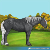 Horse Color:Silver Black Chinchilla 