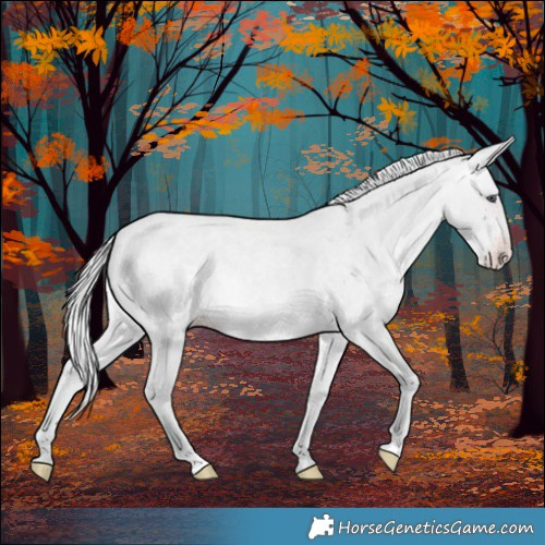 Horse Color:Silver Sable Champagne Chinchilla Roan 