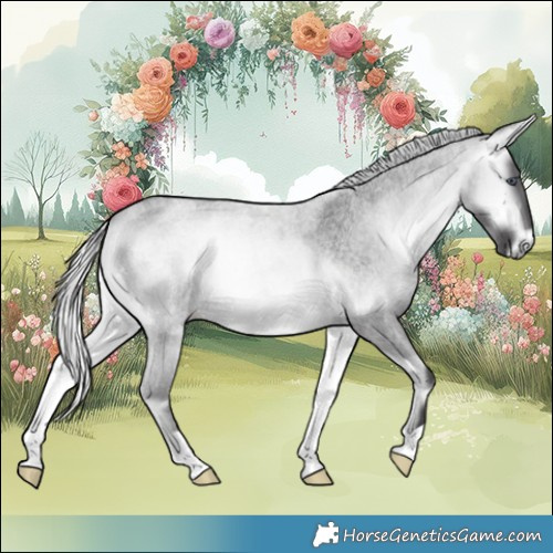 Horse Color:Silver Buckskin Chinchilla Roan Onyx