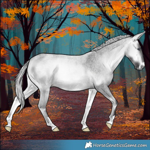 Horse Color:Silver Buckskin Chinchilla Roan Onyx 