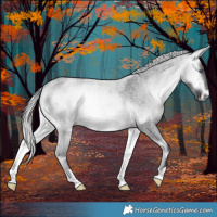 Horse Color:Silver Buckskin Chinchilla Roan Onyx 