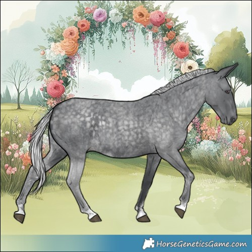 Horse Color:Silver Blue Chinchilla Roan