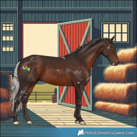 Horse Color:White Spotted Silver Brown