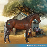 Horse Color:White Spotted Silver Brown