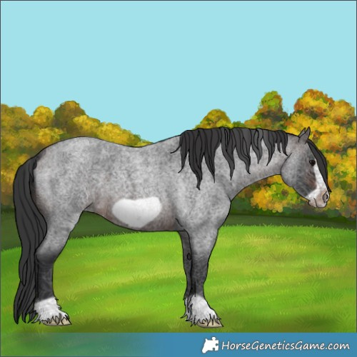 Horse Color:Brown Roan Frame 