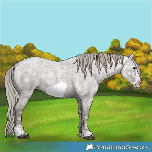 Horse Color:Silver Blue Ice Roan Mushroom Frame 
