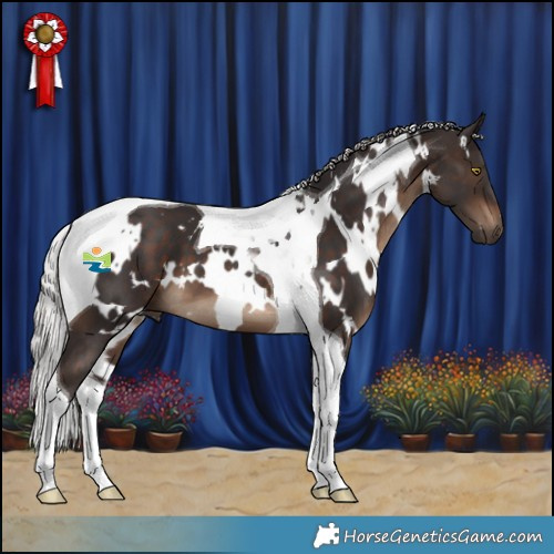 Horse Color:White Spotted Silver Brown Tobiano 