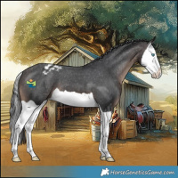 Horse Color:Brown Splash Varnish 