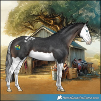 Horse Color:Brown Splash Varnish 