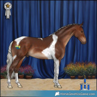 Horse Color:Silver Bay Tobiano 
