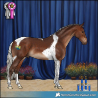 Horse Color:Silver Bay Tobiano