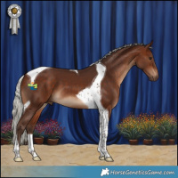 Horse Color:Silver Bay Tobiano 