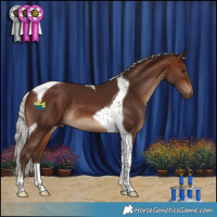 Horse Color:Silver Bay Tobiano