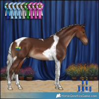 Horse Color:Silver Bay Tobiano