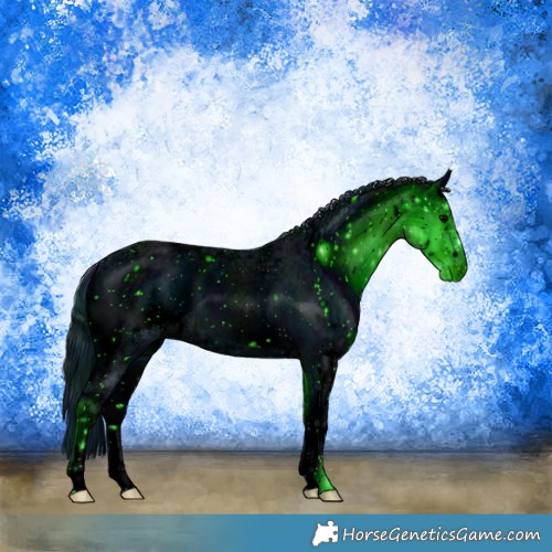 Horse Color:ERROR: UNKNOWN ANOMALY