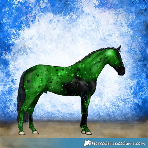 Horse Color:ERROR: UNKNOWN ANOMALY