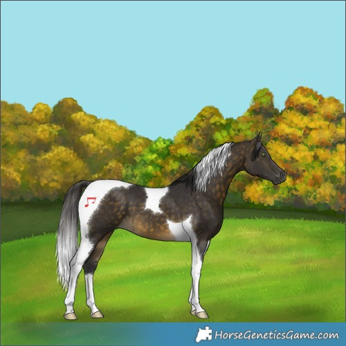 Horse Color:Buckskin Tobiano 