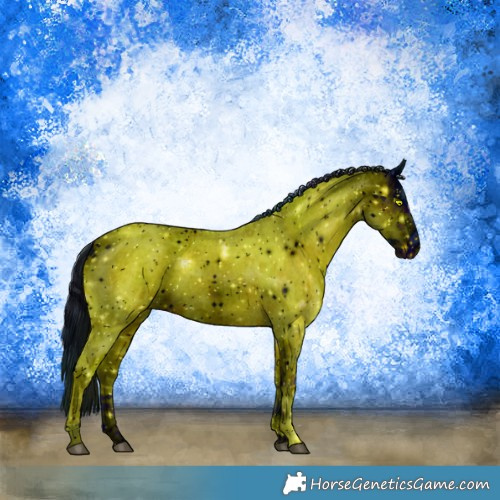 Horse Color:ERROR: UNKNOWN ANOMALY