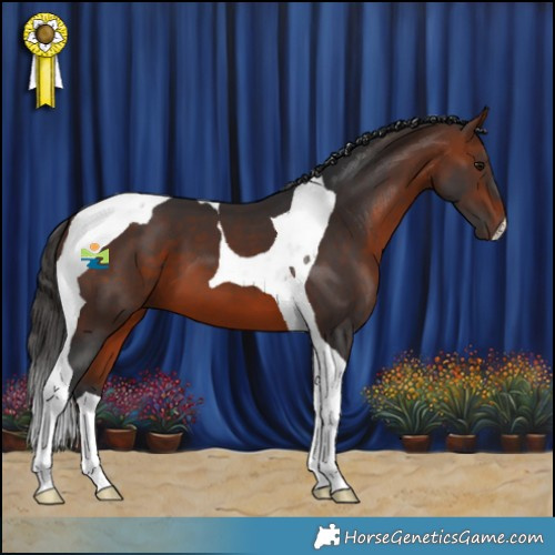 Horse Color:Bay Tobiano 